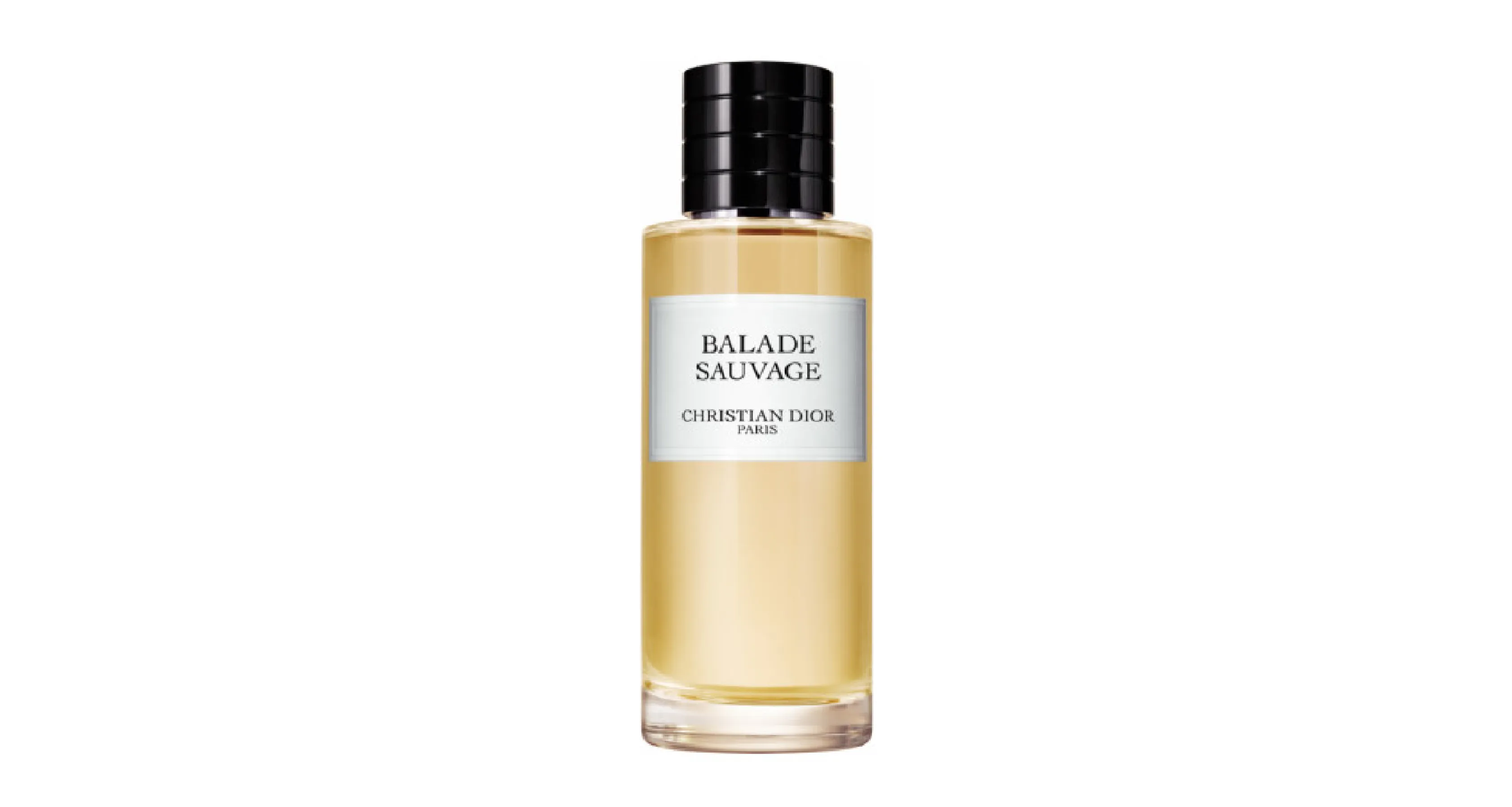 Dior_Balade Sauvage 